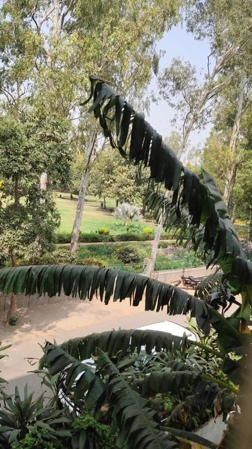 Maplewood Guest House, Neeti Bagh, New Delhiit is a Boutiqu Guest House - room 8 Extérieur photo